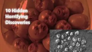 Top 10 Hidden Horrifying Discoveries in the World