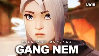 GANG NEM  (VALORANT MONTAGE)