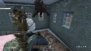 #bears Dont play in #dayz