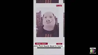 John Pork Meme Compilation