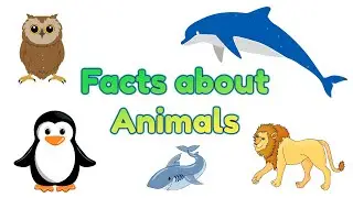 Facts about Animals | Interesting Fun Facts about Animals for Kids | 