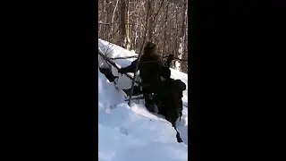 Берлога и экшн камера - опасный эксперимент 