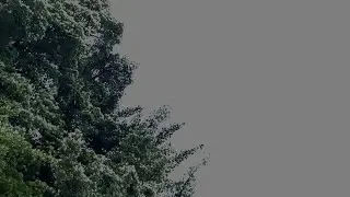 雨予報 / 初音ミク