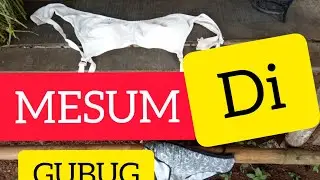 MESUM DI GUBUG DEPAN UMUM