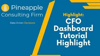 CFO Dashboard Excel Example Tutorial - Highlights & Overview