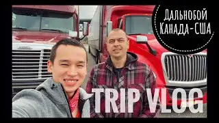 VLOG 