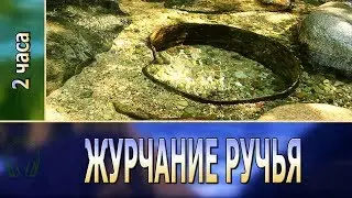 Creek Murmur ✿ 2 hours ✿ Country RELAX