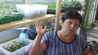 обо всем и❗Открываю приём заказов"ОСЕНЬ 2024"