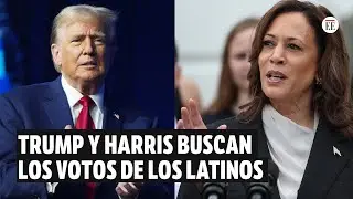 Trump y Harris buscan los votos de los latinos a cinco días de las elecciones | El Espectador