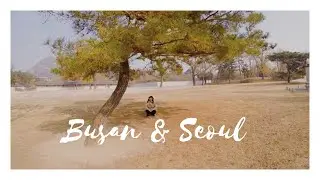 Seoul | Busan | South Korea