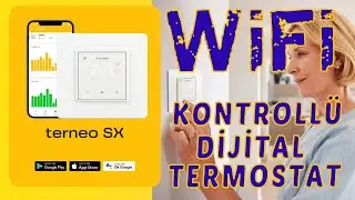 Wifi priz, wifi Termostat Terneo sx, Terneo termostat ayarları, Home Assistant'a entegrasyon