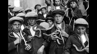 Spettro family - Melamara