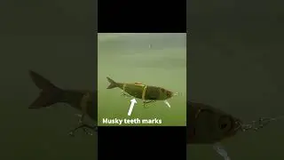 Savage Gear 4play Lure Underwater 