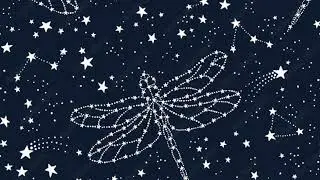 Malaengpo – Missing the Stars