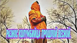 Отжимания на одной руке под бит😈/Отжимания фристайл/Calisthenics/Street workout💪🐺