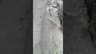 Normal