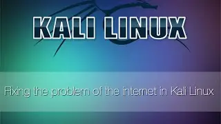 Fixing the problem of the internet on Kali Linux