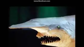 Тайны Марианской впадины!!!