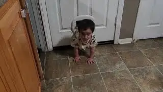 Toddler Thinks He's a Pet