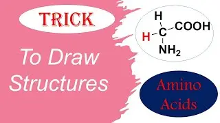 How to draw structures of Amino acids with Trick | Dr. Bharat Baria