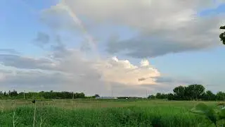 Радуга, в небе птицы летают