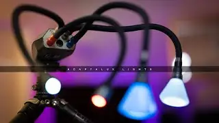 Adaptalux - MACRO photography modular lighting system ( a MUST have!)