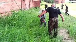 Высотка Егора Ш.