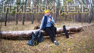 ДУШЕВНАЯ ПРОГУЛКА ПО ЛЕСУ ЗА ГРИБАМИ. ОТДОХНУЛА ДУШОЙ И ТЕЛОМ. БУРЯ ЭМОЦИЙ в самом конце !!!