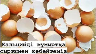 Кальций аз болса осыны жасаңыз.Кальцийге жұмыртқа қабығы ем.