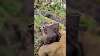 металлокооп ещё не закончил💥😺😺😃😃 