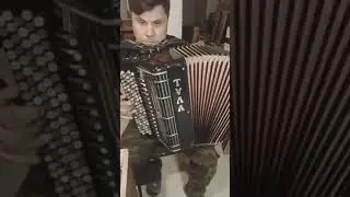 баян Тула 401
