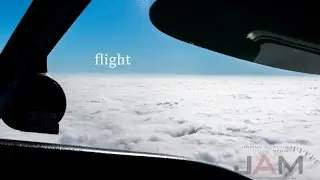 flight