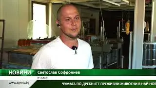 ПЧЕЛЕН МЕД: Каква е пазарната картина?