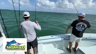 Pesca de Machuelo