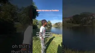 Was it really a hummingbird? Watch full video on our YouTube channel | Trip to Florida December