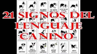 EL LENGUAJE CANINO, ¿QUÉ TE QUIERE DECIR TU PERRO? 21 SIGNOS .CORPORALES.