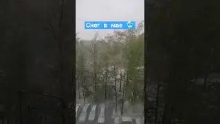 снег в мае моменты в жизни 