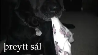 þreytt sál (original)