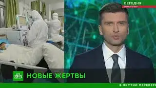 Коронавирус в Москве!? Что делать?