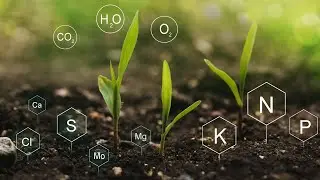 What the Heck Is Nutrient Management? And Why Should I Care?