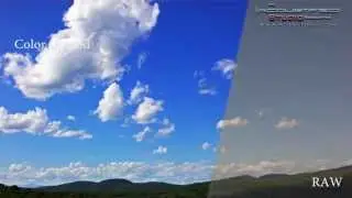 BlackMagic Pocket Camera RAW