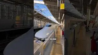 Reason For Long Nose In Japanese Trains 🤔
