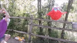 Бессмертная  пиньята