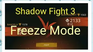 Shadow Fight 3 - Freeze Mode
