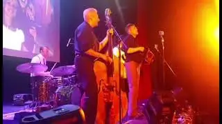 Evil Emil & King Kongo Cobras - Sugar and booze