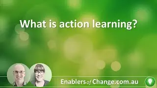 What is action learning?
