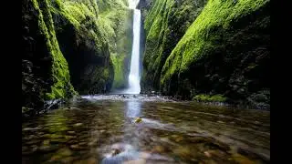 Nature (Original Mix)