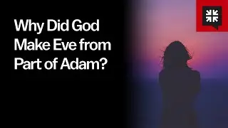 Why Did God Make Eve from Part of Adam?