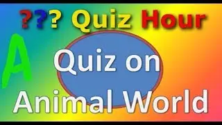 Quiz Hour : Quiz 3