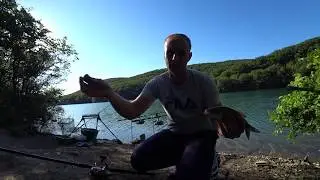Рыбалка в Крыму.Изобильненское Водохр.(ПОКА ЛОВИМ ПЛОТВУ, ТОЛСТОЛОБ ПЛАВАЕТ БУКВАЛЬНО ПОД НОГАМИ)